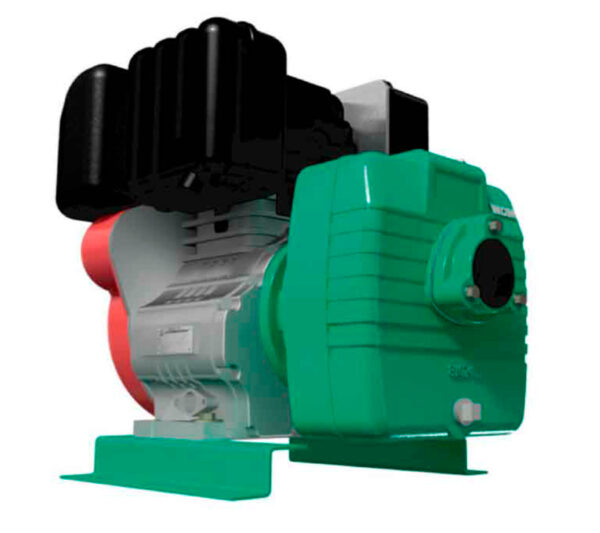 1D0102 | AD 2 75 LD | Bomba Autocebante Hierro | BARNES | Motor Diesel Lombardini