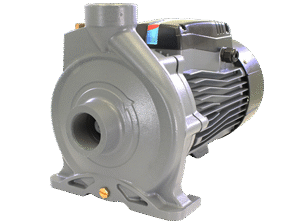 Electrobomba centrifuga | PEARL | Ref CEP 200H36S | 20 | 220/440 | 3 | 43/22 | 2" x 2"