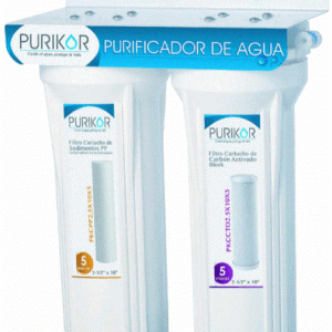 PKF-2	SISTEMA DE FILTRACIÓN BÁSICA POU MARCA PURIKOR DE 2 ETAPAS Y FILTRACIÓN DE 5 MICRAS PARA FLUJO DE 0.5 GPM