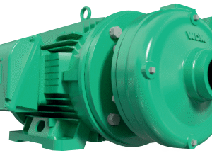 GE 2C 200 | 1B0016 | Bomba centrífuga GS | BARNES | Hierro | Trifásica | Motor eléctrico 3.600 rpm