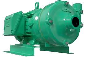 GE 1B 100 | 1B0209 | Bomba centrífuga GS | BARNES | Hierro | Trifásica | Motor eléctrico 3.600 rpm