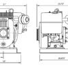 61010093 | 22M T390 | Bomba Autocebante | Barmesa Pumps | Motor a Gasolina - Imagen 3