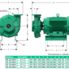 GE 3G 300-4 | 1B0157 | Bomba centrífuga GS | BARNES | Hierro | Trifásica | Motor eléctrico 1.800rpm - Imagen 3