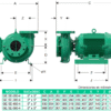 GE 5E 300-4 | 1B0087 | Bomba centrífuga GS | BARNES | Hierro | Trifásica | Motor eléctrico 1.800rpm - Imagen 3