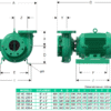 GE 6C 250-4 | 1B0062 | Bomba centrífuga GS | BARNES | Hierro | Trifásica | Motor eléctrico 1.800rpm - Imagen 3