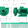 GE 6G 1250-4 | 1B0169 | Bomba centrífuga GS | BARNES | Hierro | Trifásica | Motor eléctrico 1.800rpm - Imagen 3
