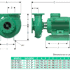 GE 8E 600-4 | 1B0094 | Bomba centrífuga GS | BARNES | Hierro | Trifásica | Motor eléctrico 1.800rpm - Imagen 3