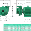 GE 2.5C 75-4 | 1B0248 | Bomba centrífuga GS | BARNES | Hierro | Trifásica | Motor eléctrico 1.800rpm - Imagen 3