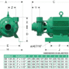 GE 1.5A 30*** | 1B0451S | Bomba centrífuga GS | BARNES | Hierro | Trifásica | Motor eléctrico 3.600 rpm - Imagen 3