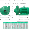 GE 1.5D 500 | 1B0009 | Bomba centrífuga GS | BARNES | Hierro | Trifásica | Motor eléctrico 3.600 rpm - Imagen 3