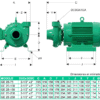 GE 2B 200 | 1B0014 | Bomba centrífuga GS | BARNES | Hierro | Trifásica | Motor eléctrico 3.600 rpm - Imagen 3